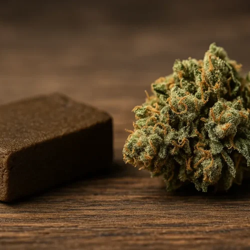 Hash vs Weed – What’s the Real Difference in Your High