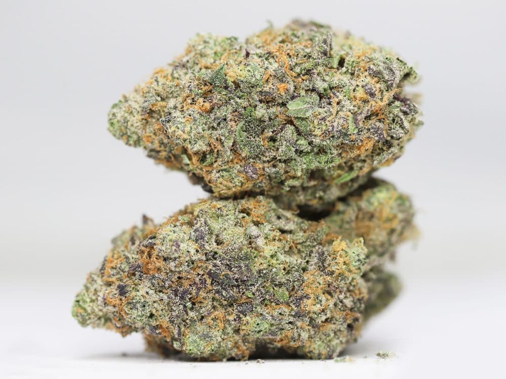 KRFT SUNSET MIMOSA RESTOCK