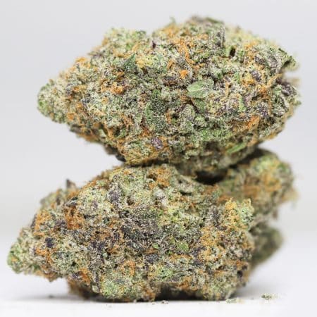 KRFT SUNSET MIMOSA RESTOCK