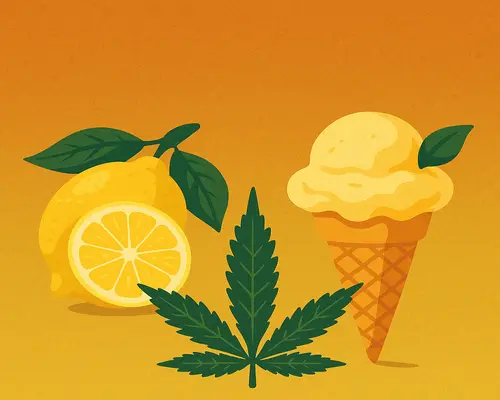 What Makes Lemon Gelato a Standout Hybrid