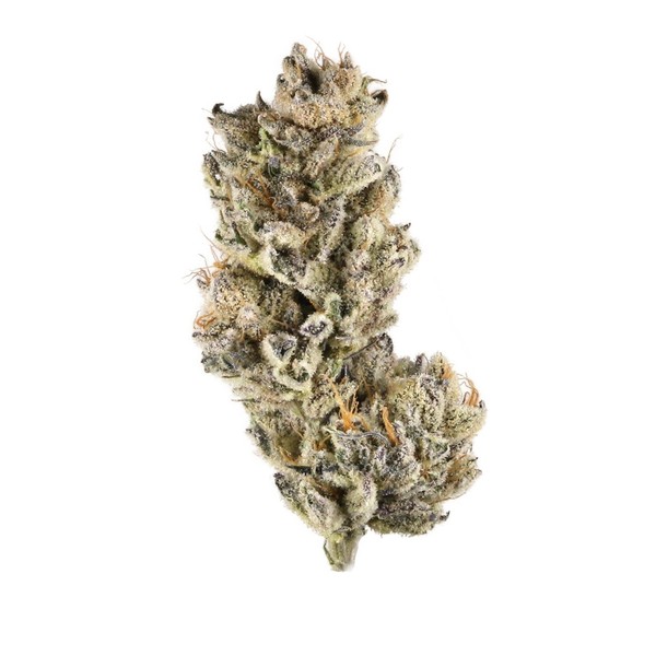 purple punch vjpg