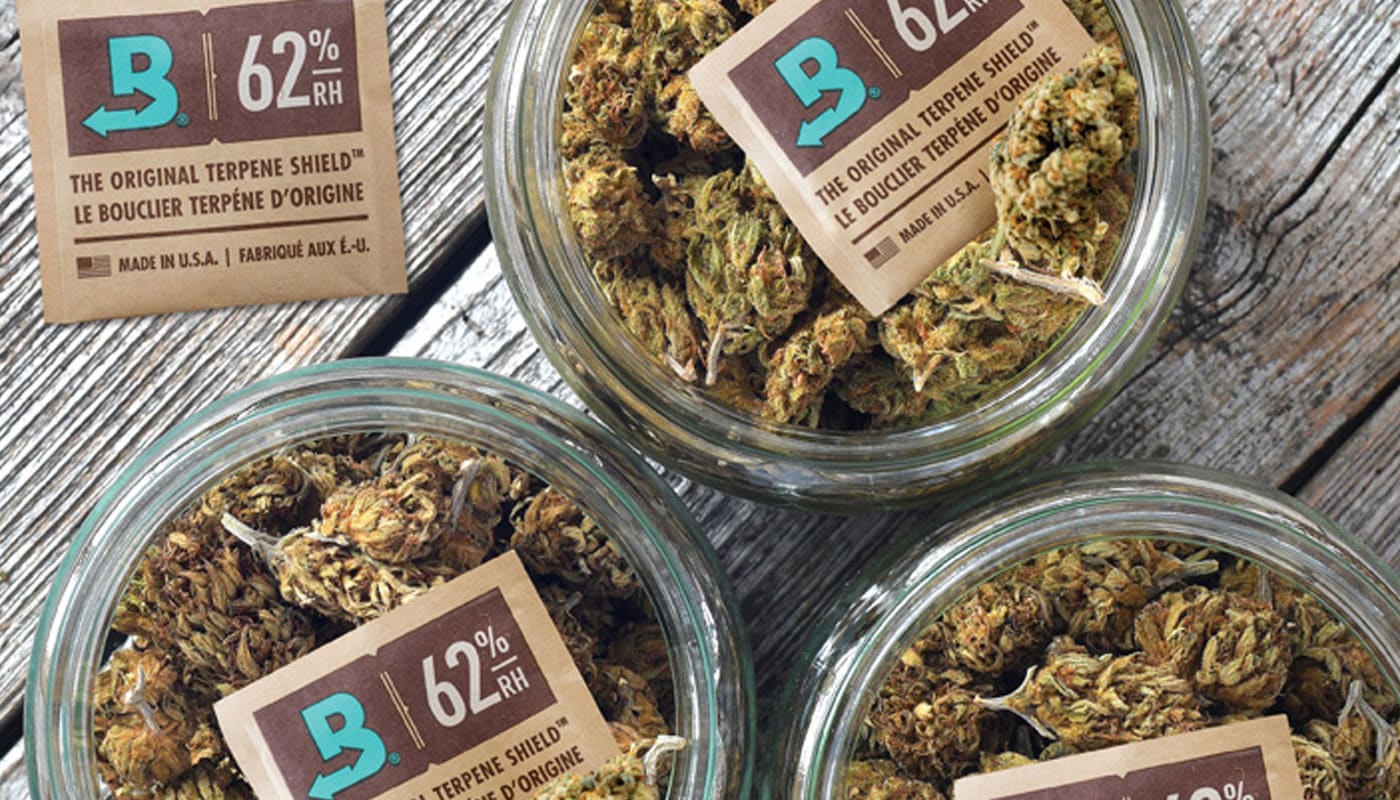 How to Store Cannabis boveda