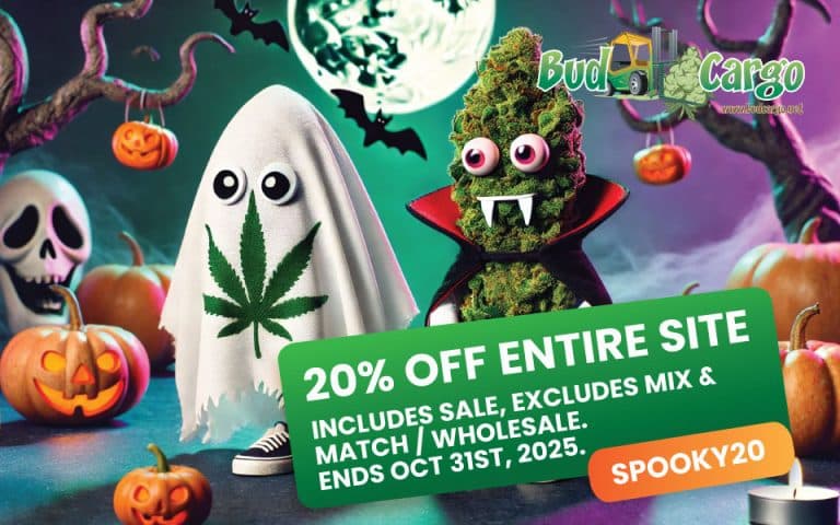 bcargo halloween banner