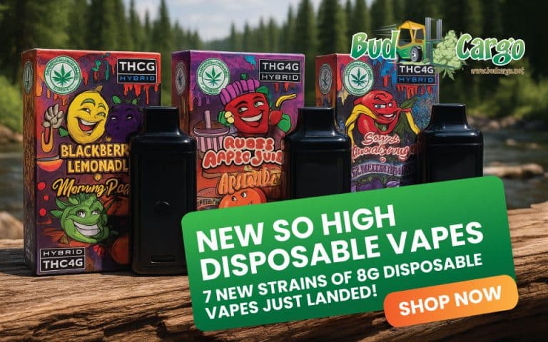 bcargo so high banner