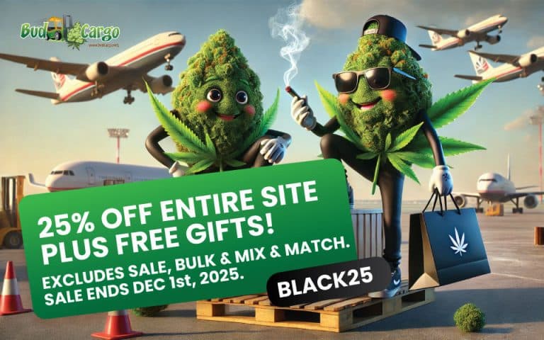 bcargo blk friday banner