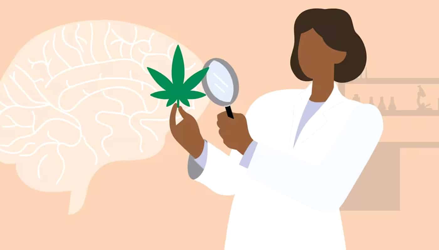 cannabis side effects mental