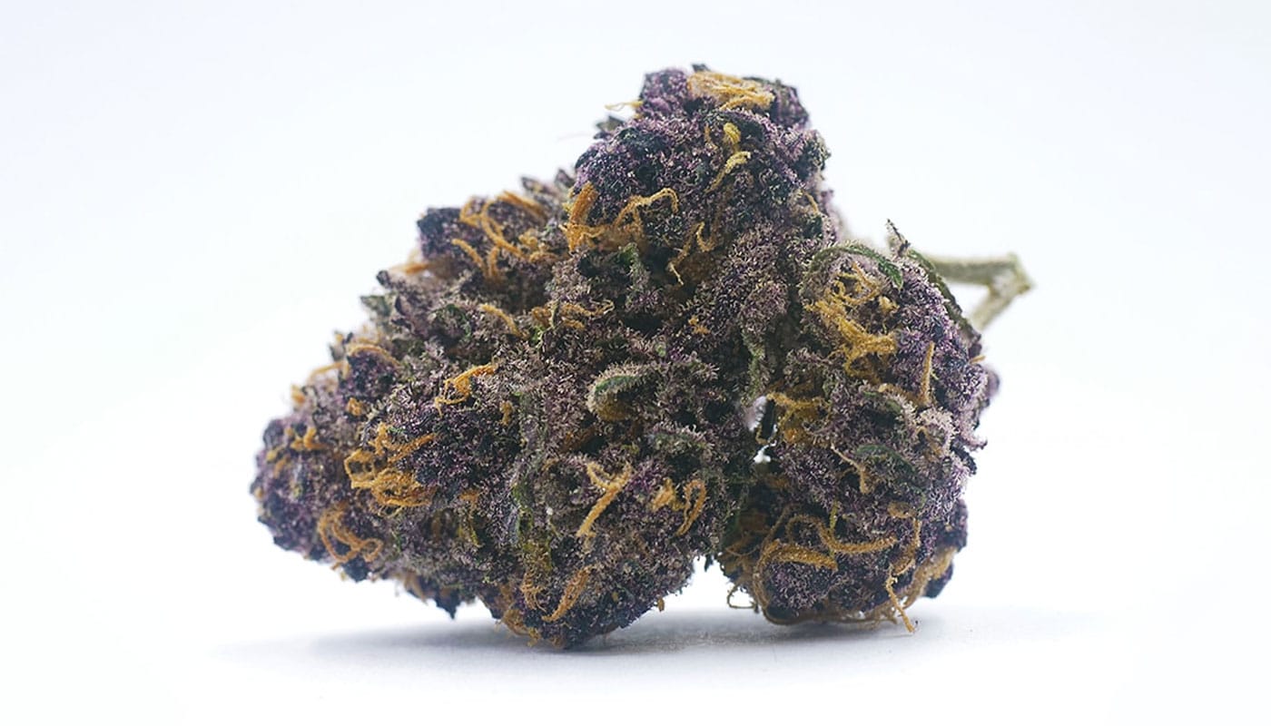 Huckleberry Soda Strain banner Huckleberry Soda Strain banner