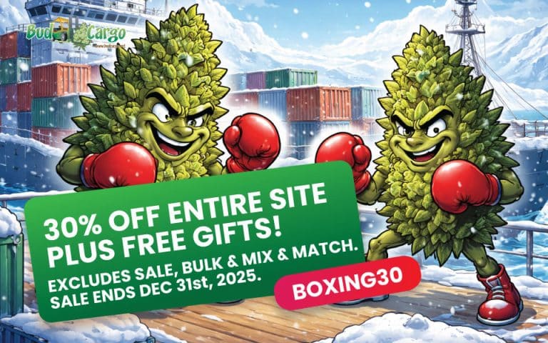 bcargo boxing banner