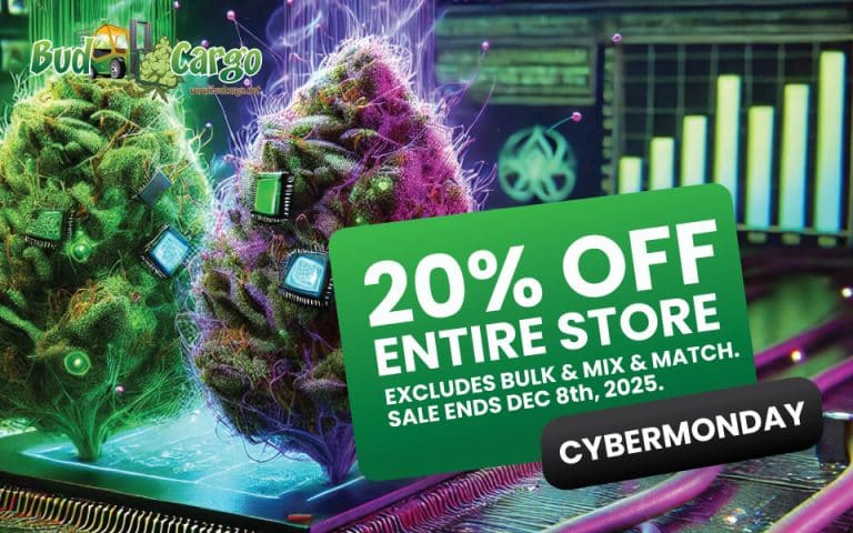 bcargo cyber monday banner