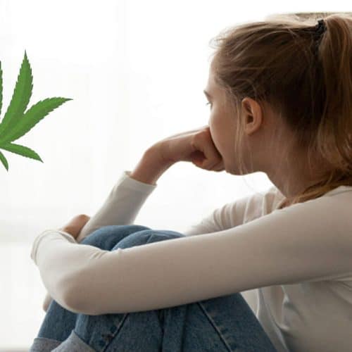 Cannabis Anxiety Explained Simple Ways to Reduce Paranoia