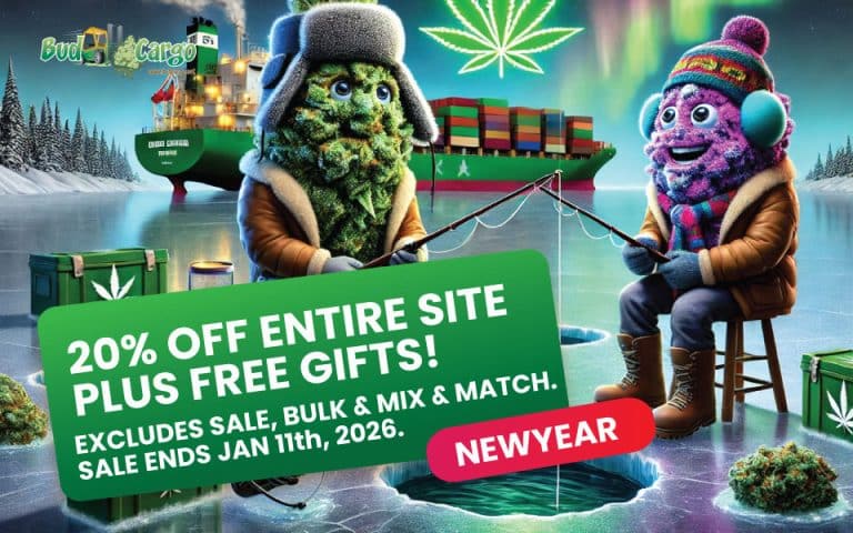 bcargo new yearbanner