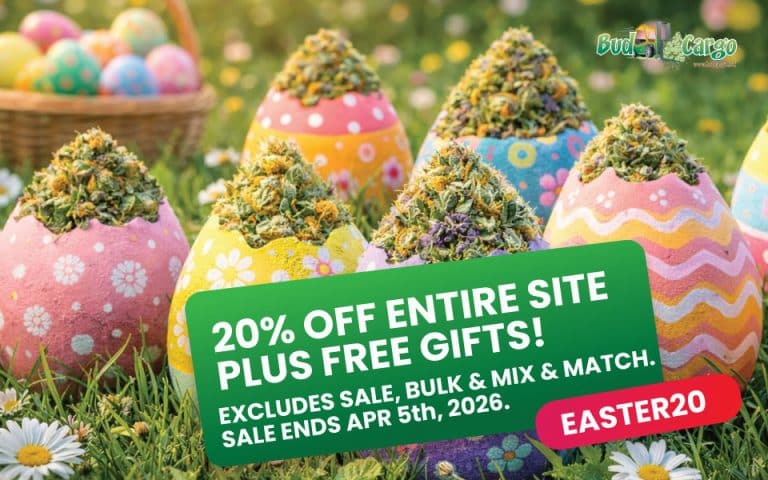 bcargo easter banner