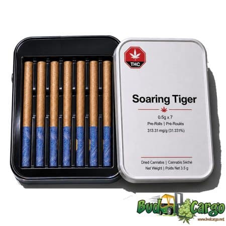 Soaring TIger .