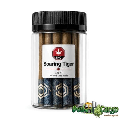 Soaring TIger jar