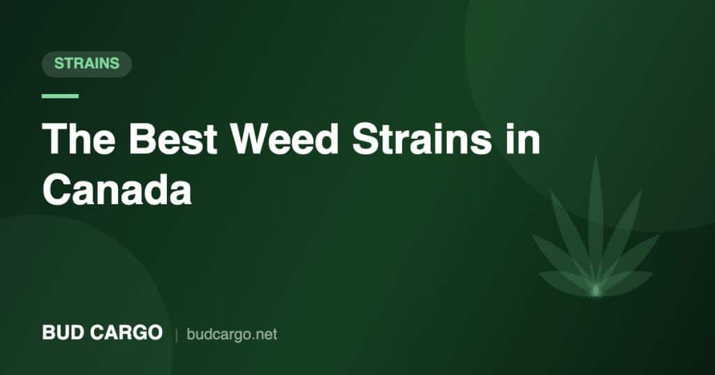 Best weed strains in Canada indica sativa hybrid - Bud Cargo