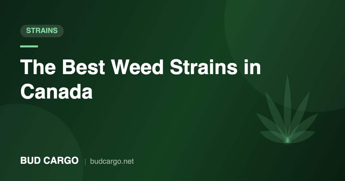 Best weed strains in Canada indica sativa hybrid - Bud Cargo