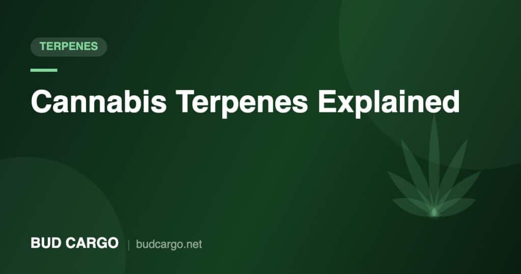 Cannabis terpenes guide effects and aromas - Bud Cargo