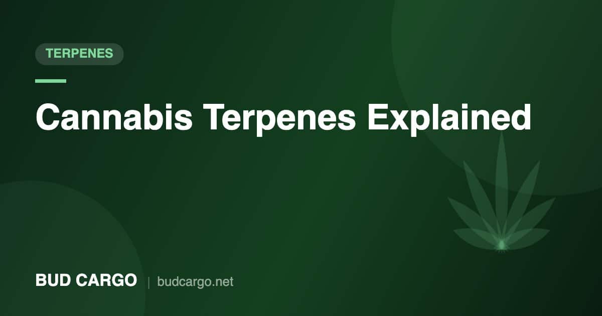 Cannabis terpenes guide effects and aromas - Bud Cargo