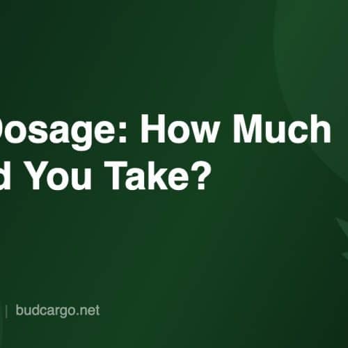CBD dosage guide how much CBD to take - Bud Cargo