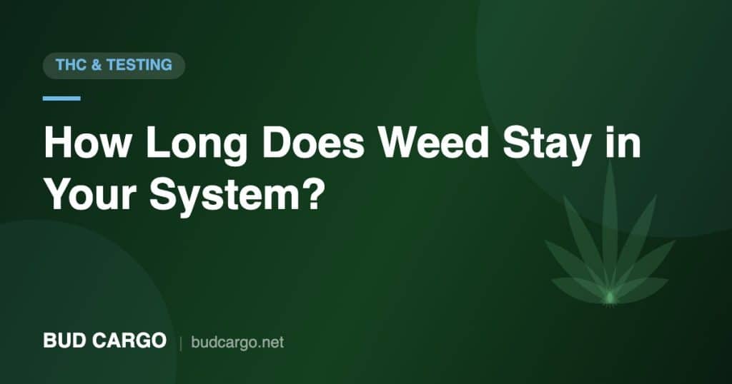 How long weed stays in your system detection windows - Bud Cargo
