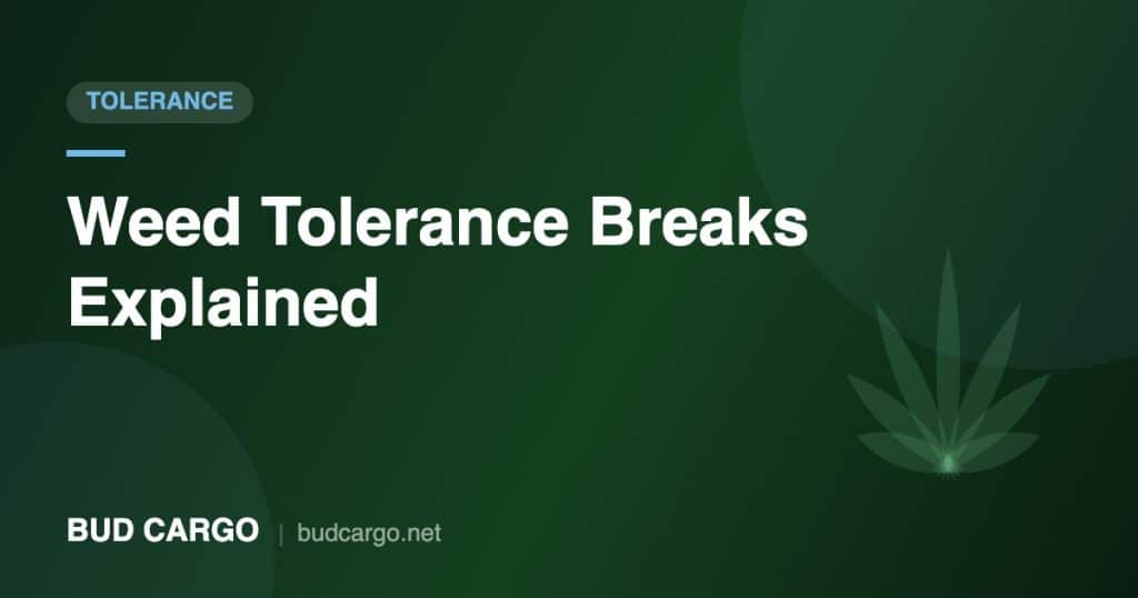 Weed tolerance break guide how long to reset - Bud Cargo
