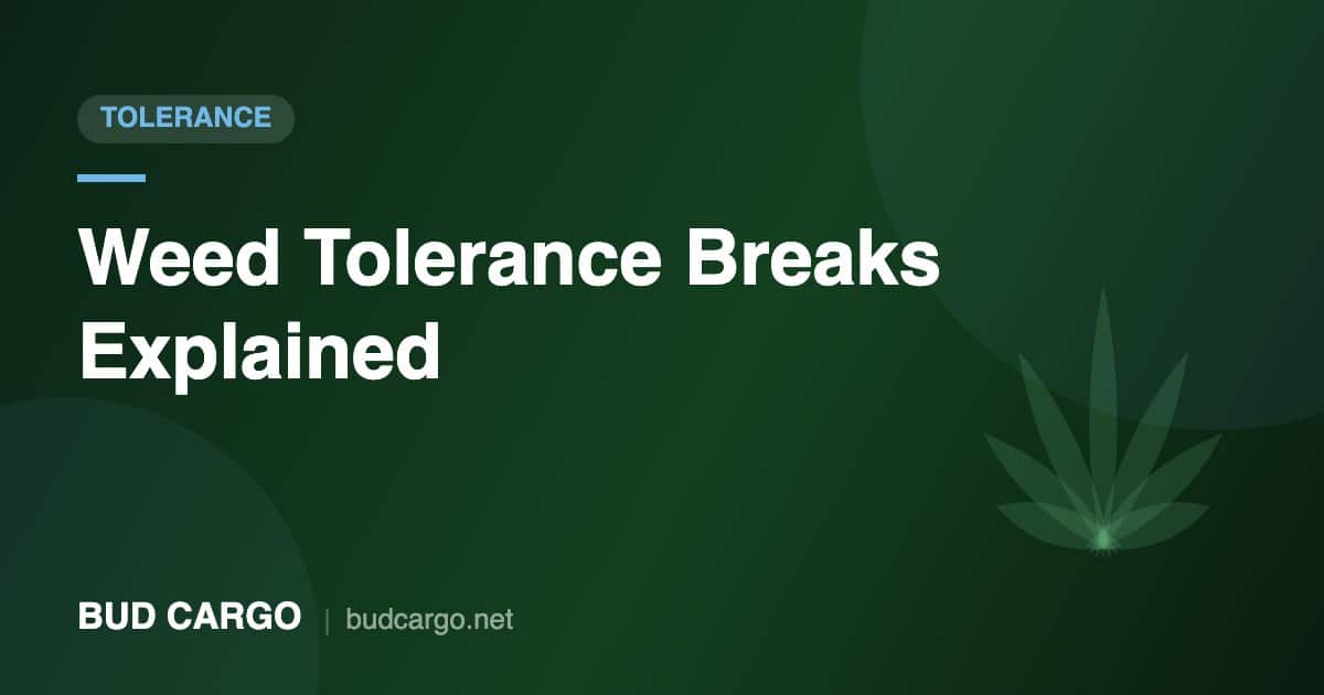 Weed tolerance break guide how long to reset - Bud Cargo