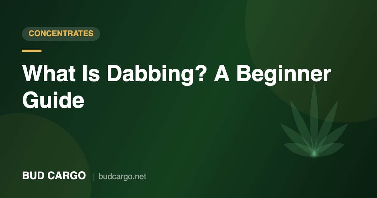 What is dabbing beginner guide to dabs and rigs - Bud Cargo