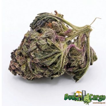 Alien OG