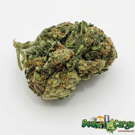 Girl Scout Cookies 260901