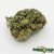 Girl Scout Cookies 260901