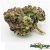 Pineapple Express