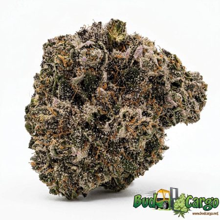 Slurricane