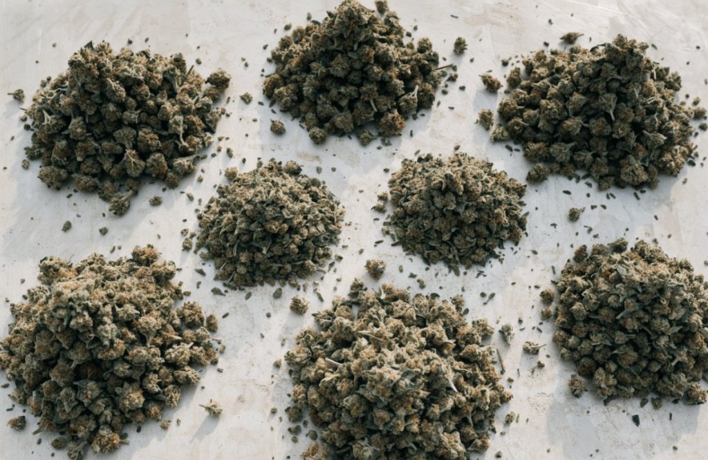 Cheap cannabis ounces under $100 in Canada - bulk dried flower - Bud Cargo