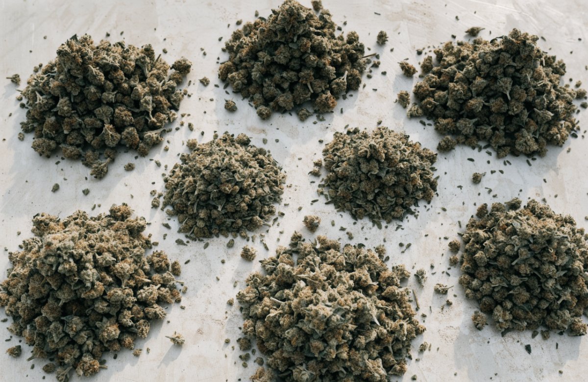 Cheap cannabis ounces under $100 in Canada - bulk dried flower - Bud Cargo
