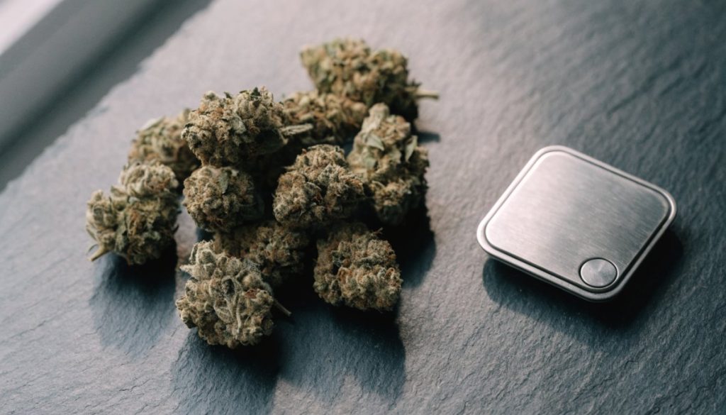 An ounce of dried cannabis flower beside a digital scale - Bud Cargo
