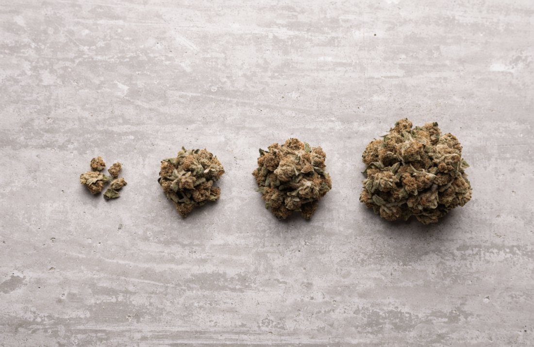 Cannabis portion sizes compared - gram, eighth, quarter and ounce - Bud Cargo