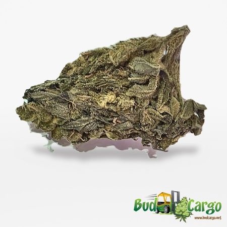Black Nuken - Oz Deal