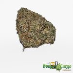 Black Truffle