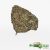 Black Truffle