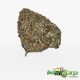 Black Truffle