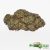 Gorilla Glue