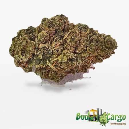Ice Cream Cake - Oz Deal