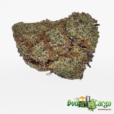 King Kush