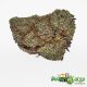 King Kush