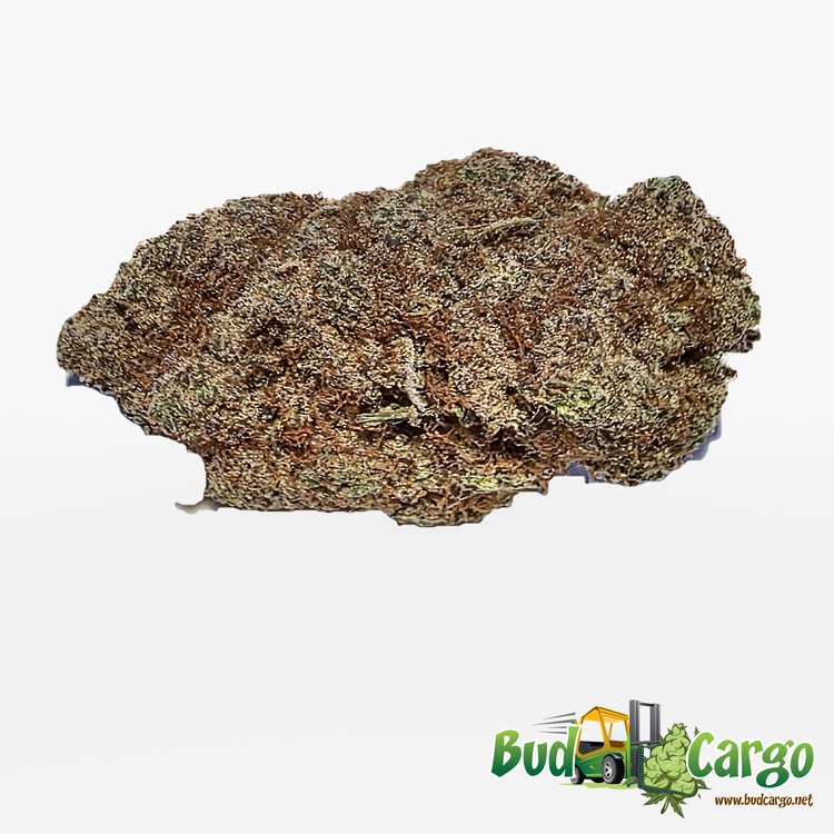 Lemon Cherry Gelato