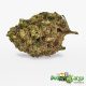 Mandarin Cookies - Oz Deal