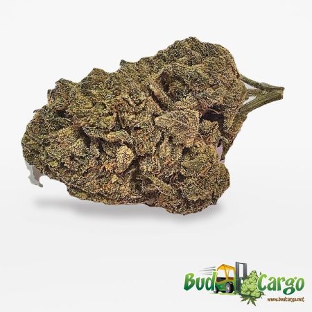 Pink Bubba - Oz Deal
