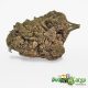 Pink Bubba - Oz Deal