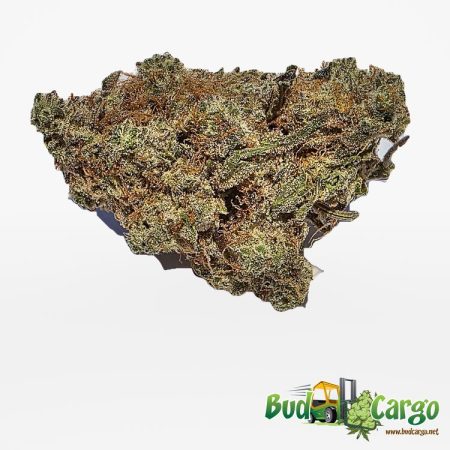 Purple Kush