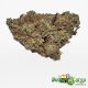 Purple Kush